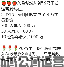 久鼎私域2025年市场发展规划：2025年正式开始久鼎私域平台将正式进入私域带货